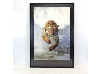 Bengal Tiger Framed Poster