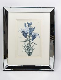 Lilium Bulbiferum Lily Flower Print In Gorgeous Mirrored Frame