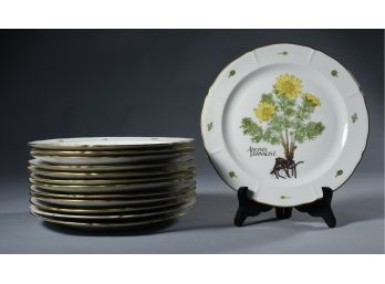 13 Vintage Langenthal Swiss Porcelain Plates