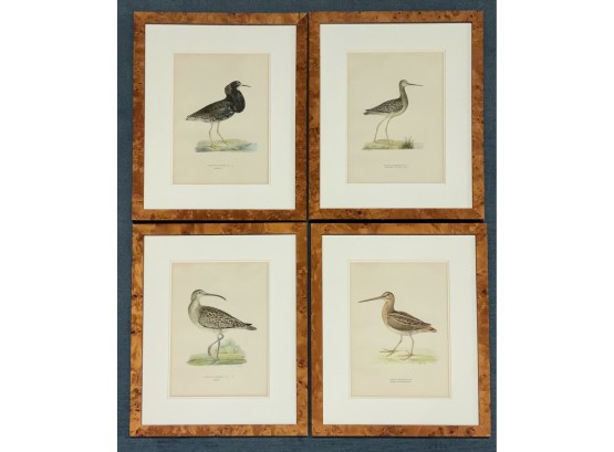 4 Vintage Framed Bird Lithographs  (CTF10)