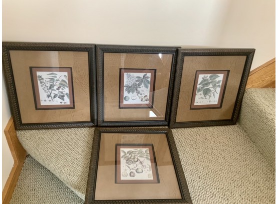 Four Framed Decorative Botanical Prints (CTF10)
