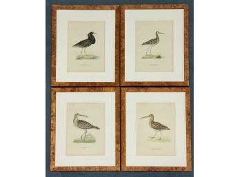 4 Vintage Framed Bird Lithographs  (CTF10)