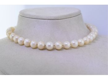 Cultured Pearl Necklace, As Is