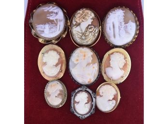 Collection Of 9 Antique Shell Cameos