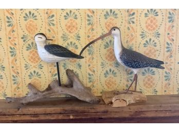 Two 20th C. Carved Shore Bird Decoys (CTF10)