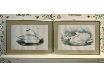 Two Vintage Swan Lithographs (CTF10)