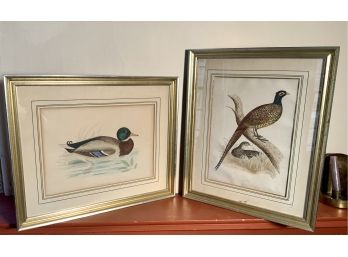 Vintage Lithographic Game Bird Colored Prints (CTF10)