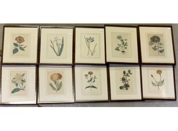 Ten Framed Botanicals Ca 1790-1810 (CTF10)
