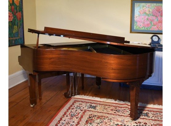 Yamaha Baby Grand Piano (CTF100)