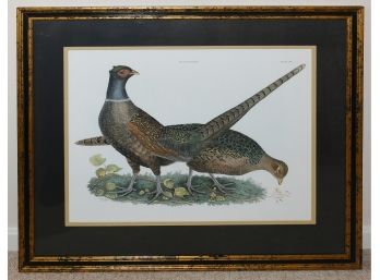 Decorative Plate Print Of Pheasant (CTF10)