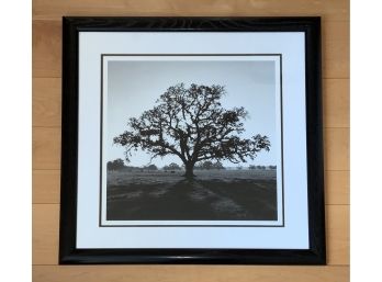 Ansel Adams 'Oak Tree Sunrise' Framed Print (CTF10)