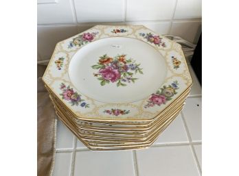 Twelve Rosenthal Porcelain Plates (CTF10)