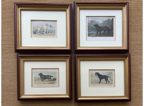 Three Chromolithographs Of Dogs After P. Mahler And One Other  (CTF10)