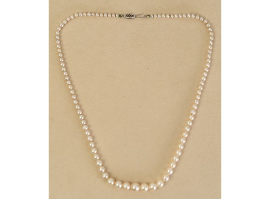 Graduated Pearl Necklace (CTF10)