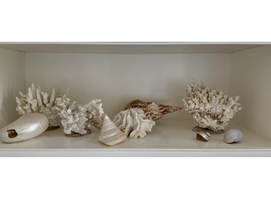 Shells & Coral Decoration, 9pcs(CTF10)