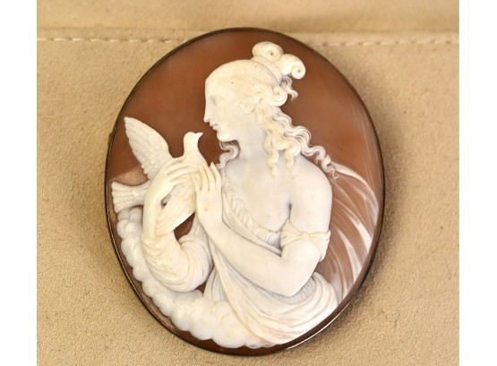 Vintage Carved Shell Cameo Pin (CTF10)