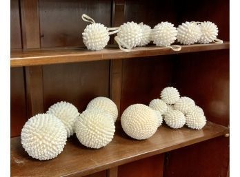 Decorative Shell Balls (CTF10)