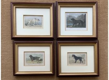 Three Chromolithographs Of Dogs After P. Mahler And One Other  (CTF10)