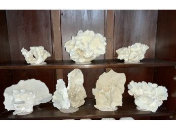 White Coral Collection (CTF20)