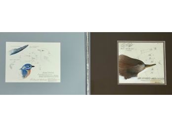 Pr. E. Arnold Greenwich CT, Pencil And Ink Bird Drawings (CTF10)