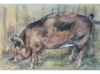 Raye Watercolor, Pig (CTF10)