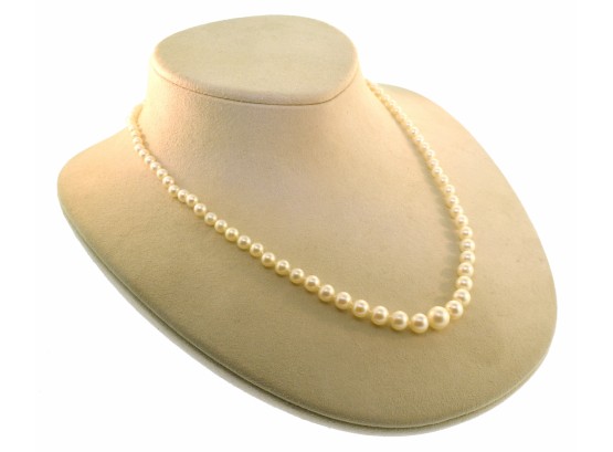 Graduated Cultured Pearl Necklace 22''L (CTF10)