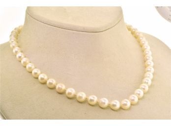 Pearl Necklace W/ Gold & Ruby Clasp (CTF10)