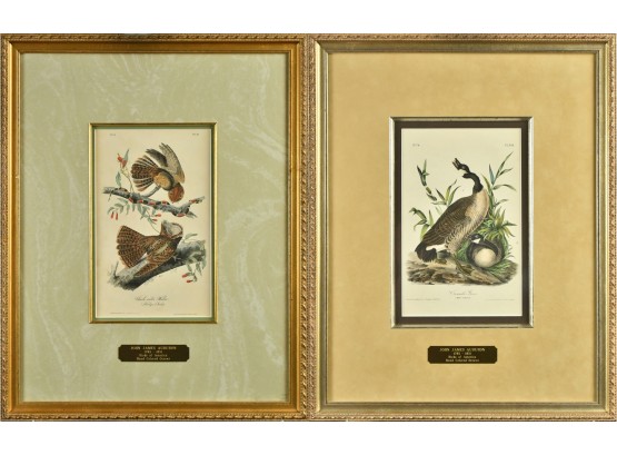 John James Audubon Book Plates, 2  (CTF10)