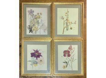 Four Framed Botanical Prints  (CTF10)