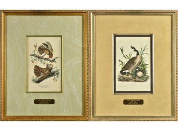 John James Audubon Book Plates, 2  (CTF10)