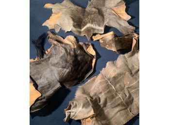 Assorted Wild Game Hides (CTF10)