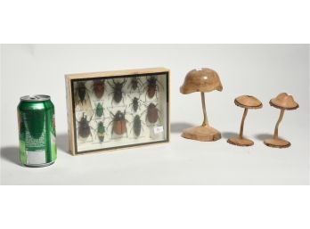 Three Artisan Turned Mushrooms & Insect Specimen Collection