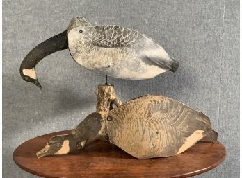 Dupe-A-Goose & Carry-Lite Duck Decoys (CTF10)