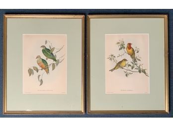 Pr Gould & Richter Bird Prints  (CTF10)