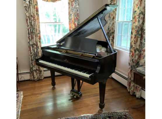 Steinway Model S Baby Grand Piano (CTF100)