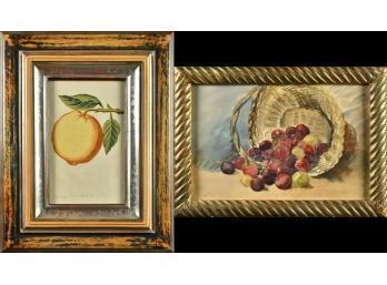 Watercolor & Color Lithograph Fruit Still Life Artworks   (CTF20)