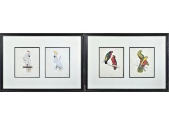 Pr. Edward Lear 'Parrots' Colored Lithographs, 3 Of 3 (CTF20)