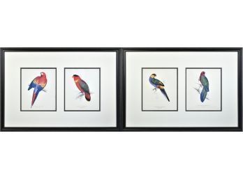 Pr. Edward Lear 'Parrots' Colored Lithographs, 2 0f 3 (CTF20)