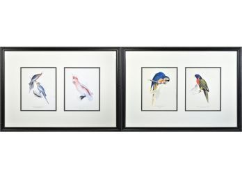 Pr. Edward Lear 'Parrots' Colored Lithographs, 1 Of 3 (CTF20)