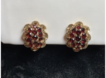 18k Gold And Garnet Earrings (CTF10)