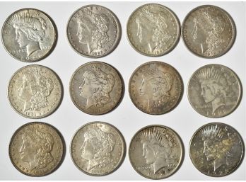 12 Morgan & Peace Silver Dollars (CTF10)