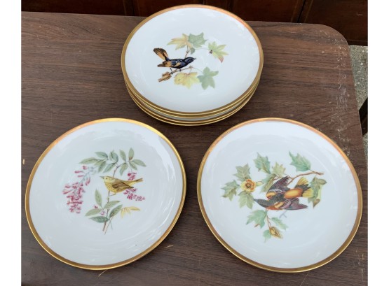Hutschenreuther Porcelain Plate Set, Audubon Birds (CTF10)