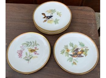 Hutschenreuther Porcelain Plate Set, Audubon Birds (CTF10)