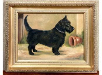 Frederick Thomas Daws Oil On Canvas, Terrier (CTF10)