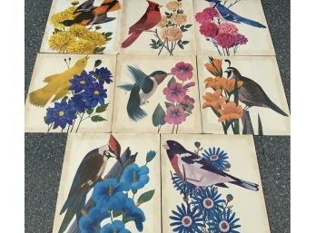 Large Folio Colored Lithographs, Birds & Flowers (CTF10)