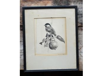 Charles E. Hill Etching “Chickadee On Branch”