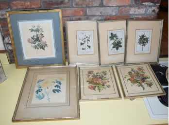 Seven Antique Botanical Prints