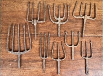 Collection Of Eight Eel Spears / Fishing Spears (CTF10)