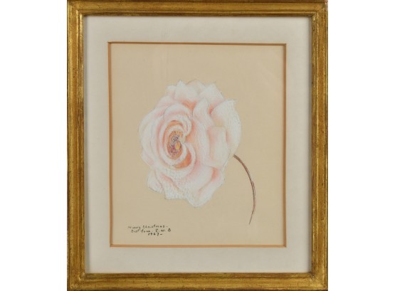 Signed Pastel Floral On Paper (CTF10)