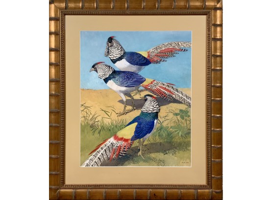 Mossel Watercolor, Colorful Pheasants (CTF10)